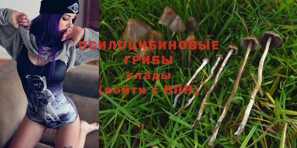 бошки Богородицк