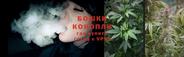 сатива Богданович