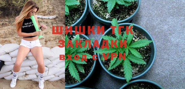 сатива Богданович