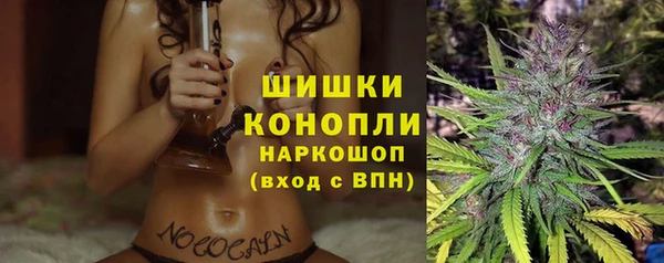 бошки Богородицк