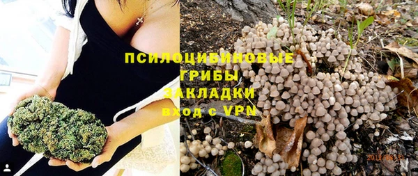 бошки Богородицк