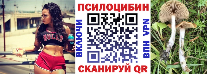 Галлюциногенные грибы Psilocybine cubensis  Купить где  Мантурово 